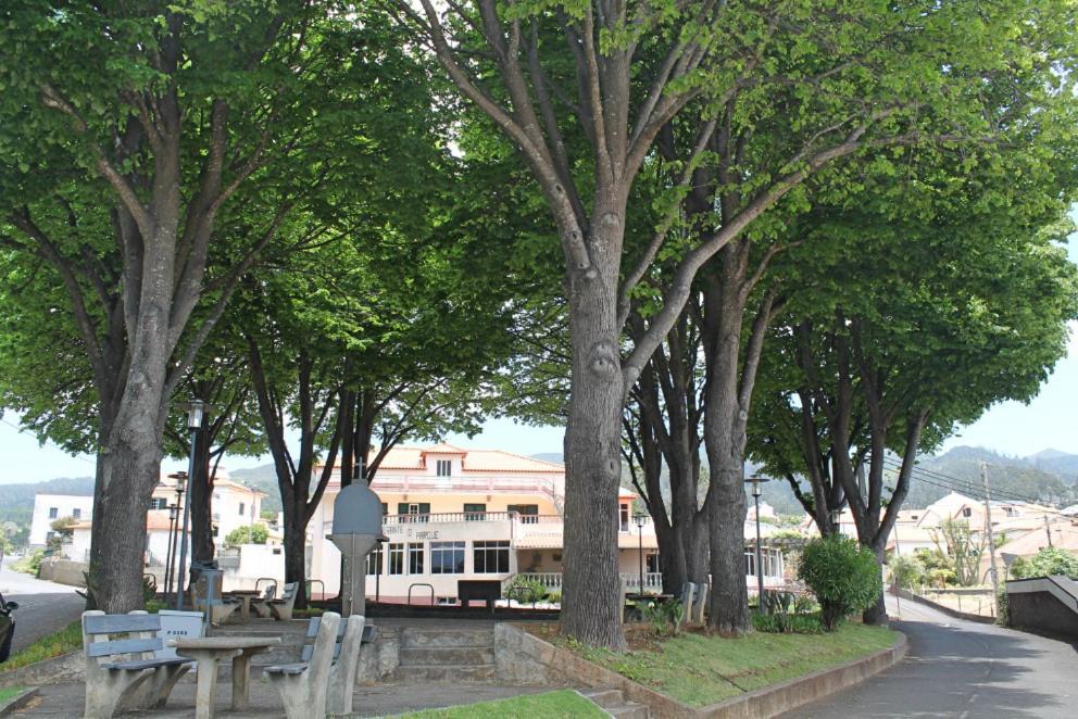 Ourmadeira - Seaview Apartment, Countryside كالهيتا المظهر الخارجي الصورة