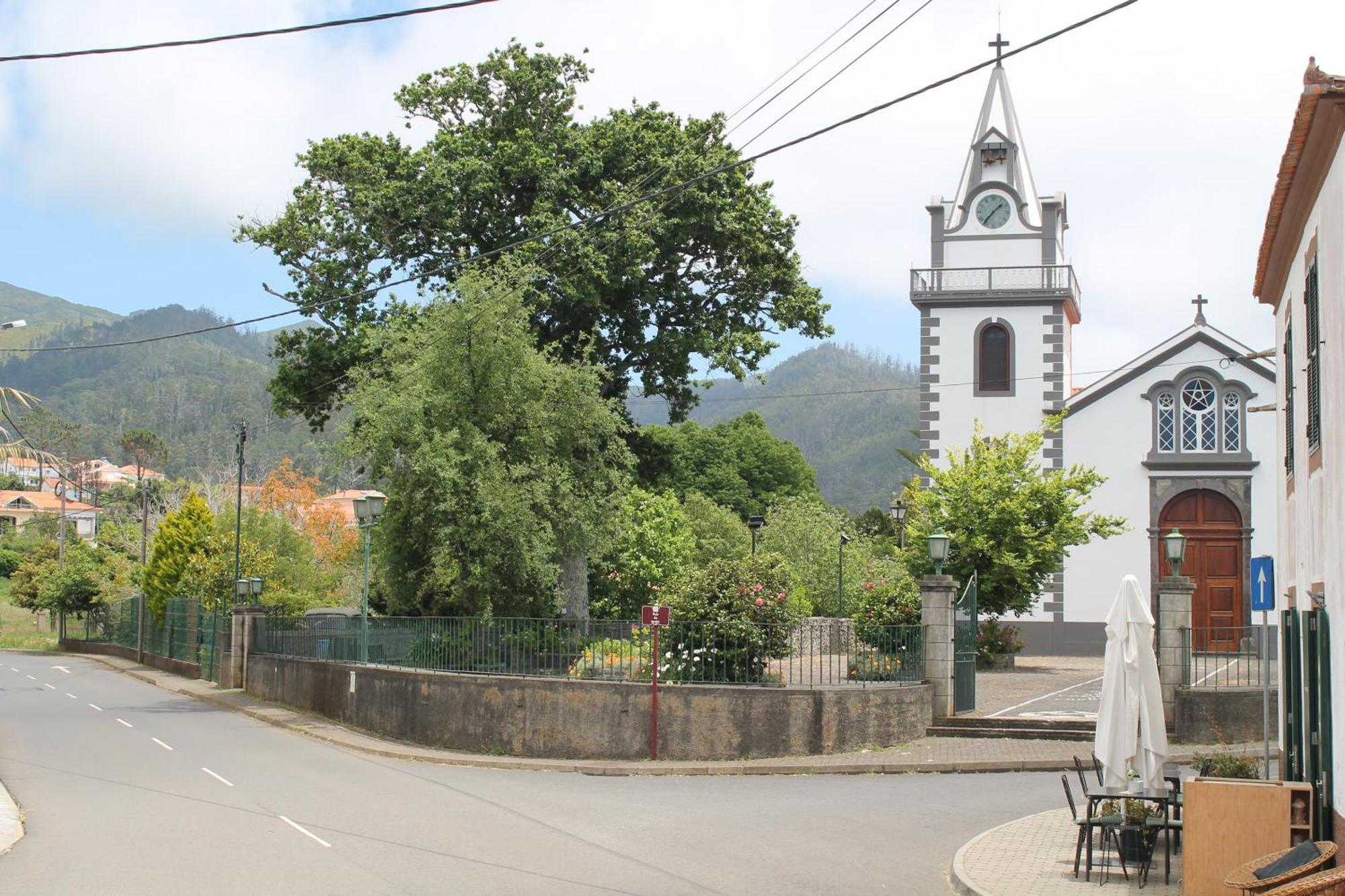 Ourmadeira - Seaview Apartment, Countryside كالهيتا المظهر الخارجي الصورة